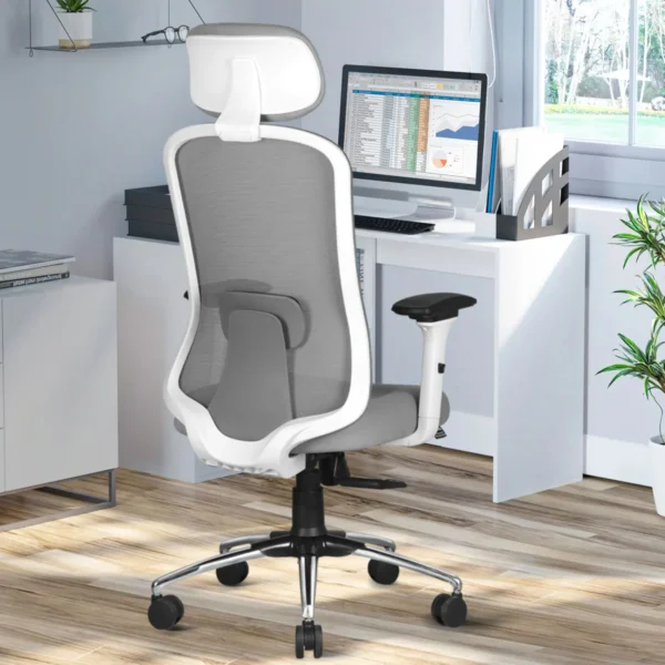ASTRIDE Ergofit Ergonomic Office Chair